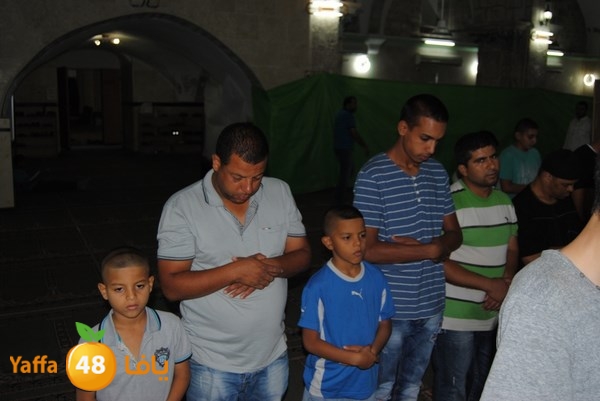 tarawe7 ramlasjju (53).JPG